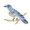 Bluebird Wall Stencil | 454 by Designer Stencils | Animal & Nature Stencils |